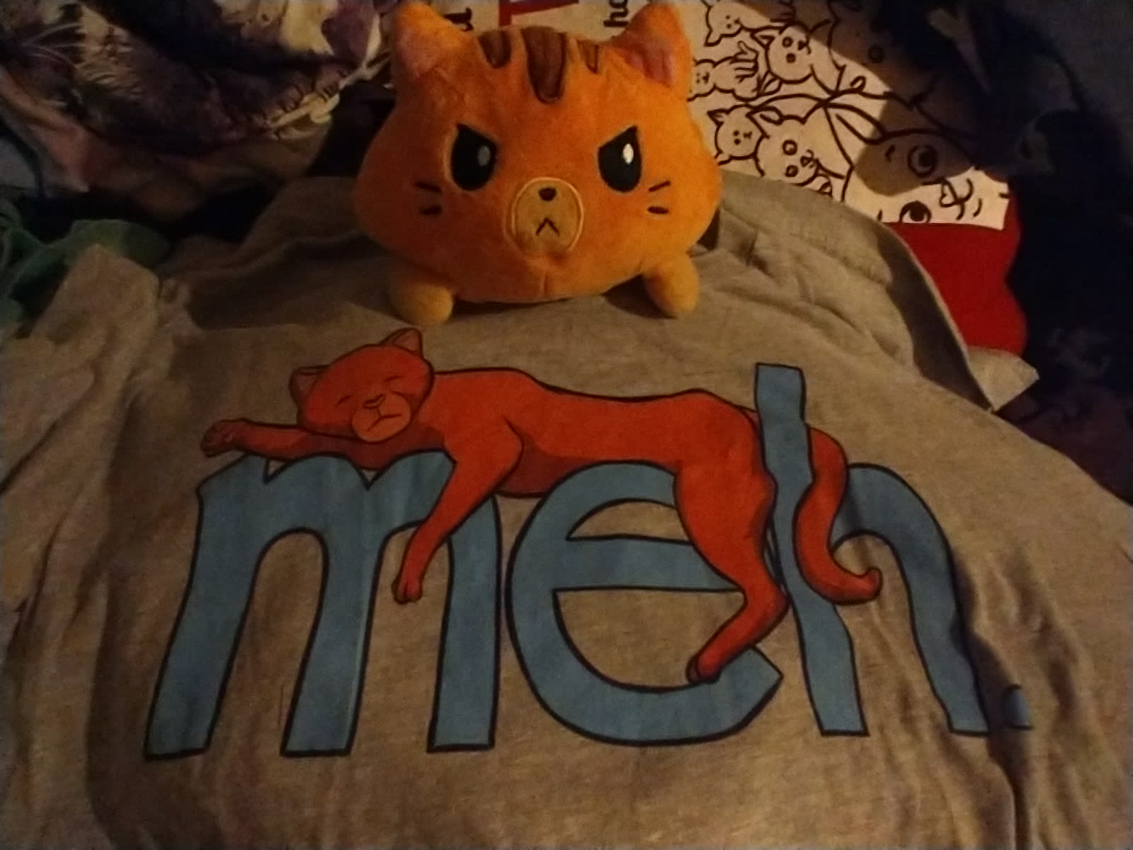 meh cat