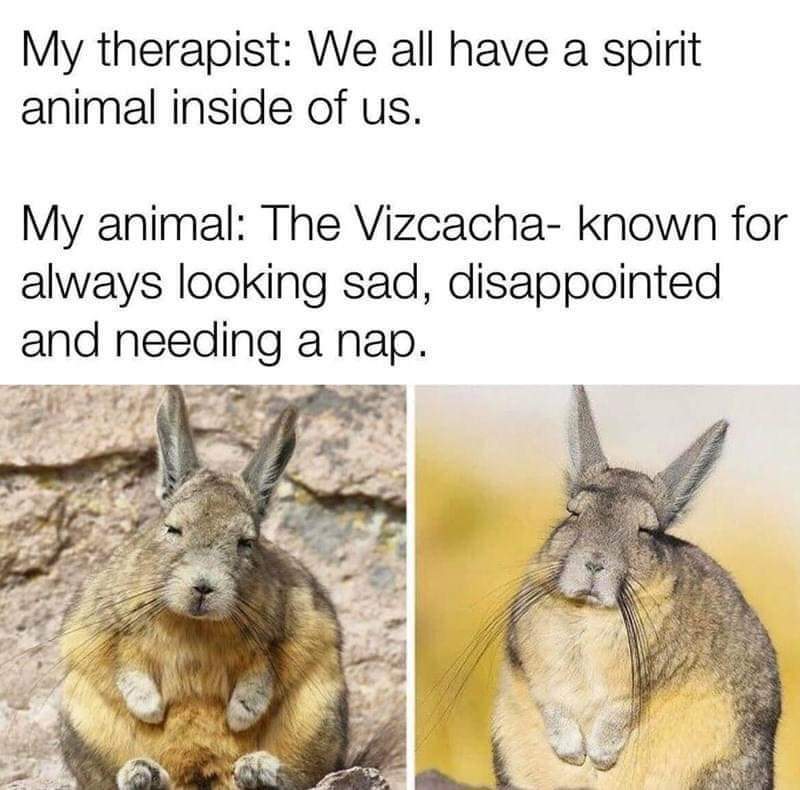 spirit animal