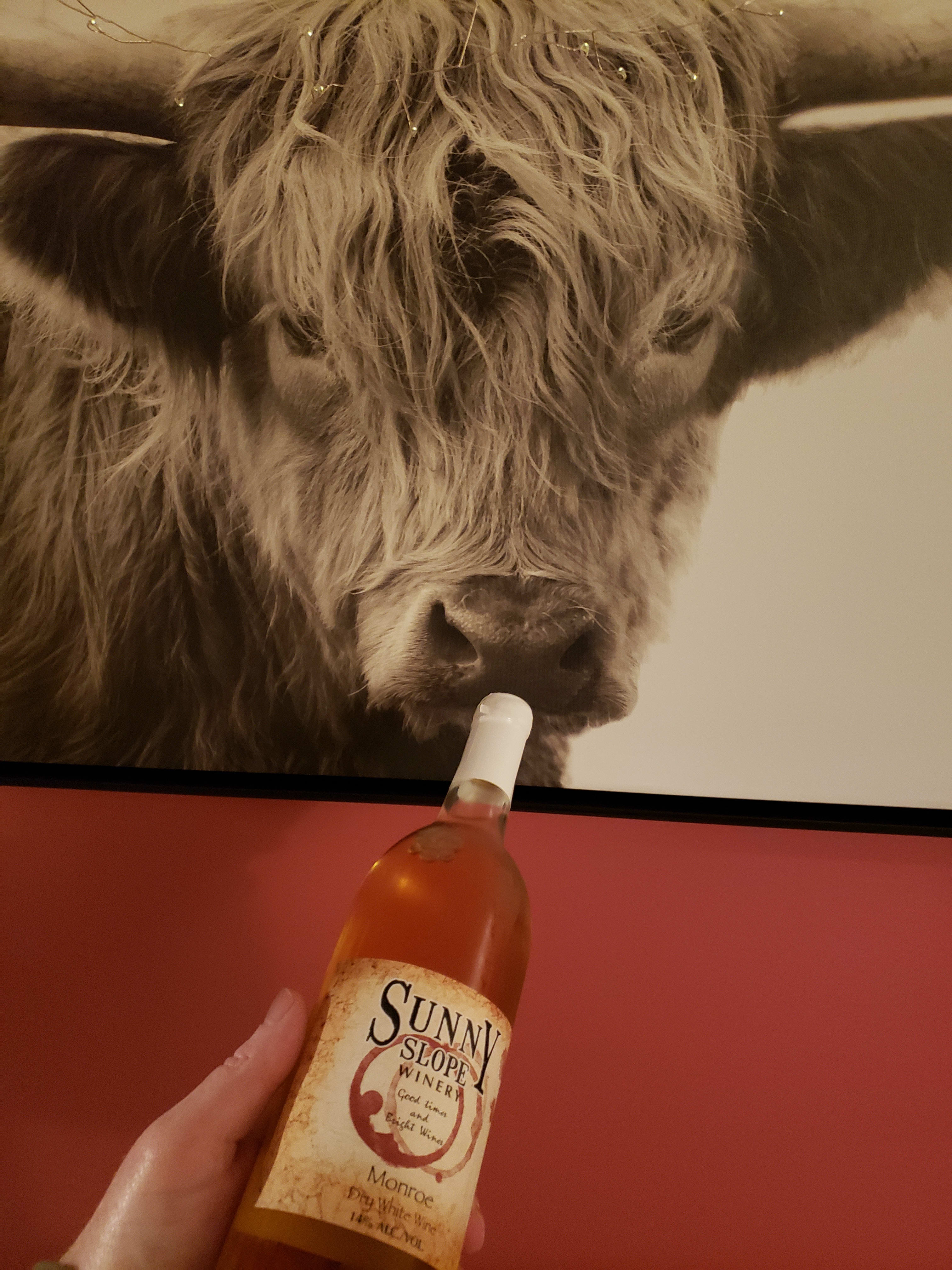 Yakkity Yak