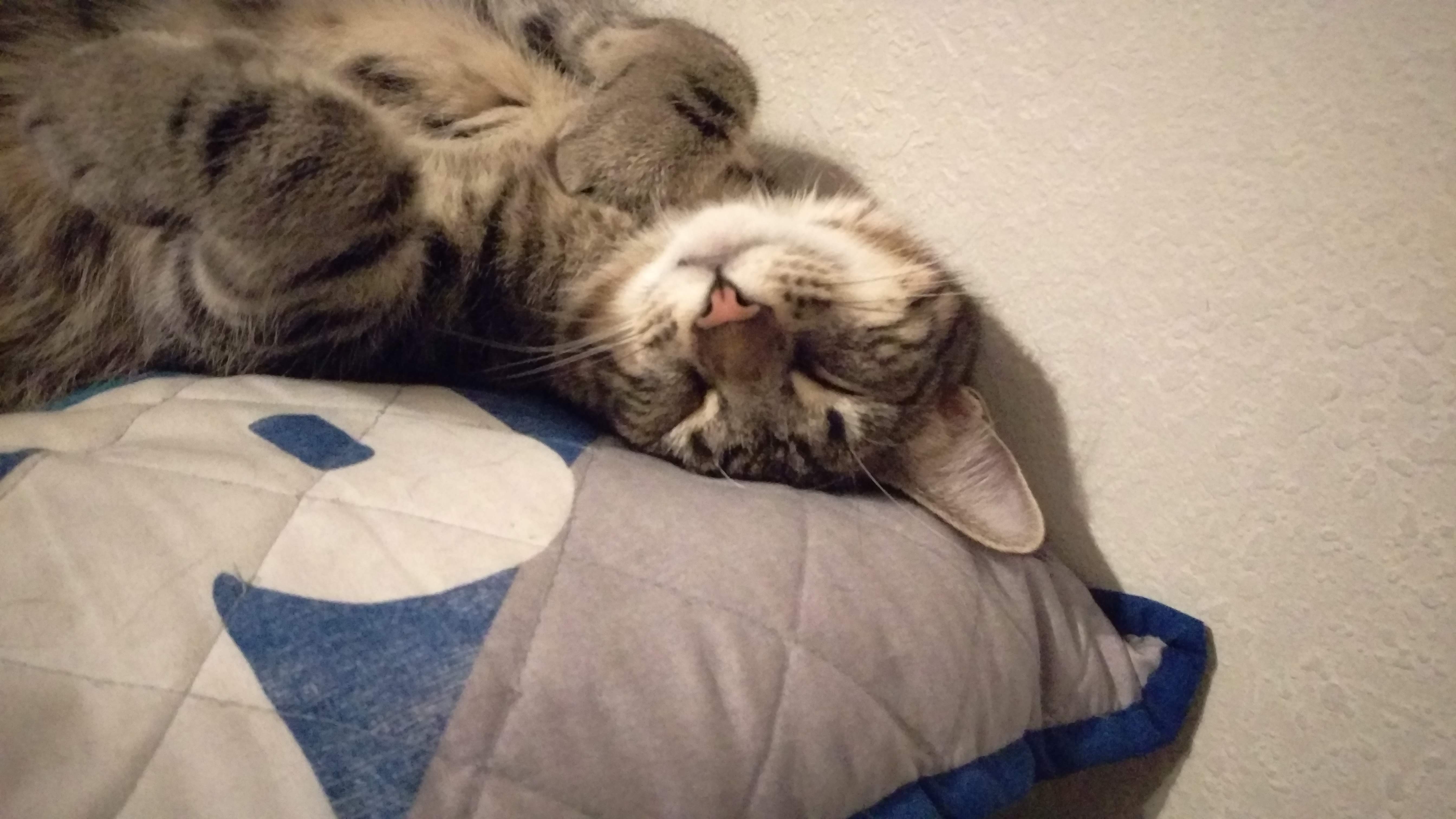 Winky