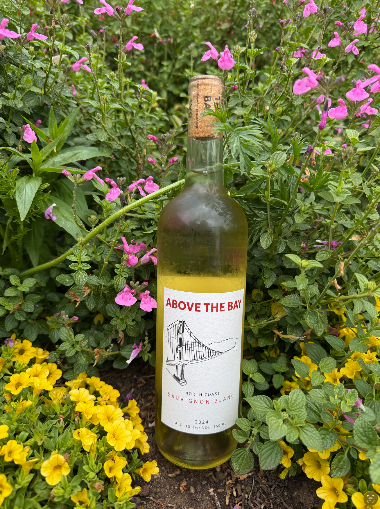 Above the bay sauv blanc