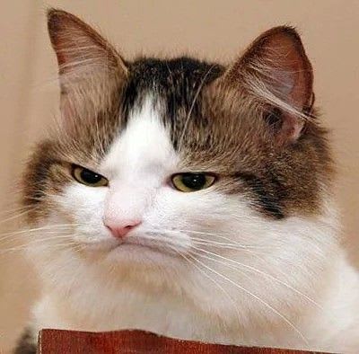 Meh