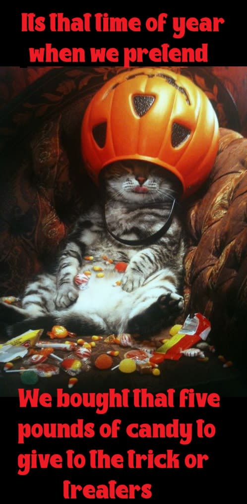 cat candy