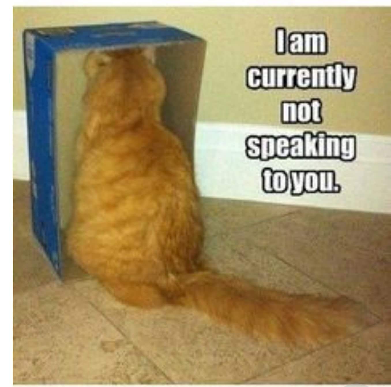 not speaking