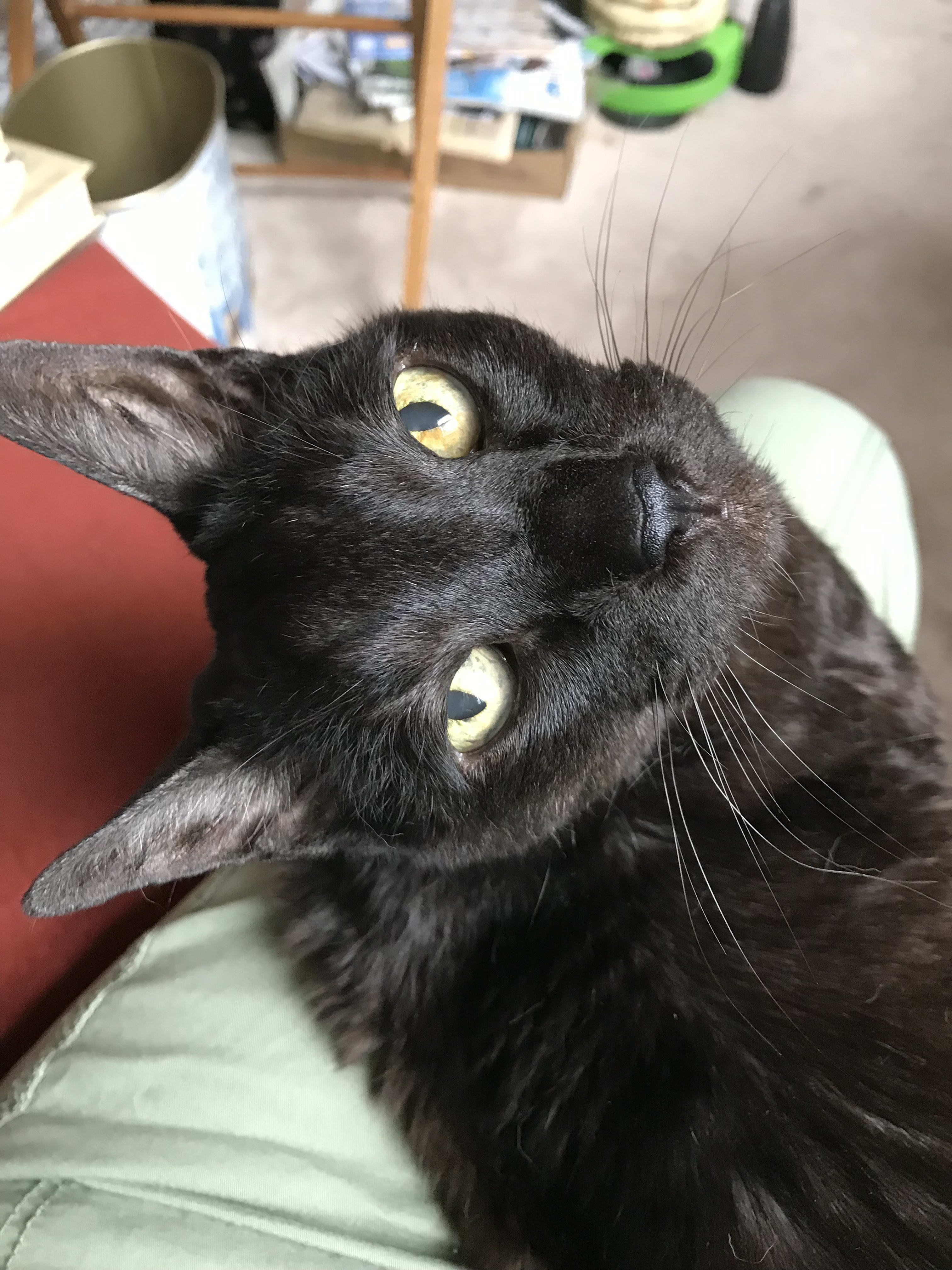 Django