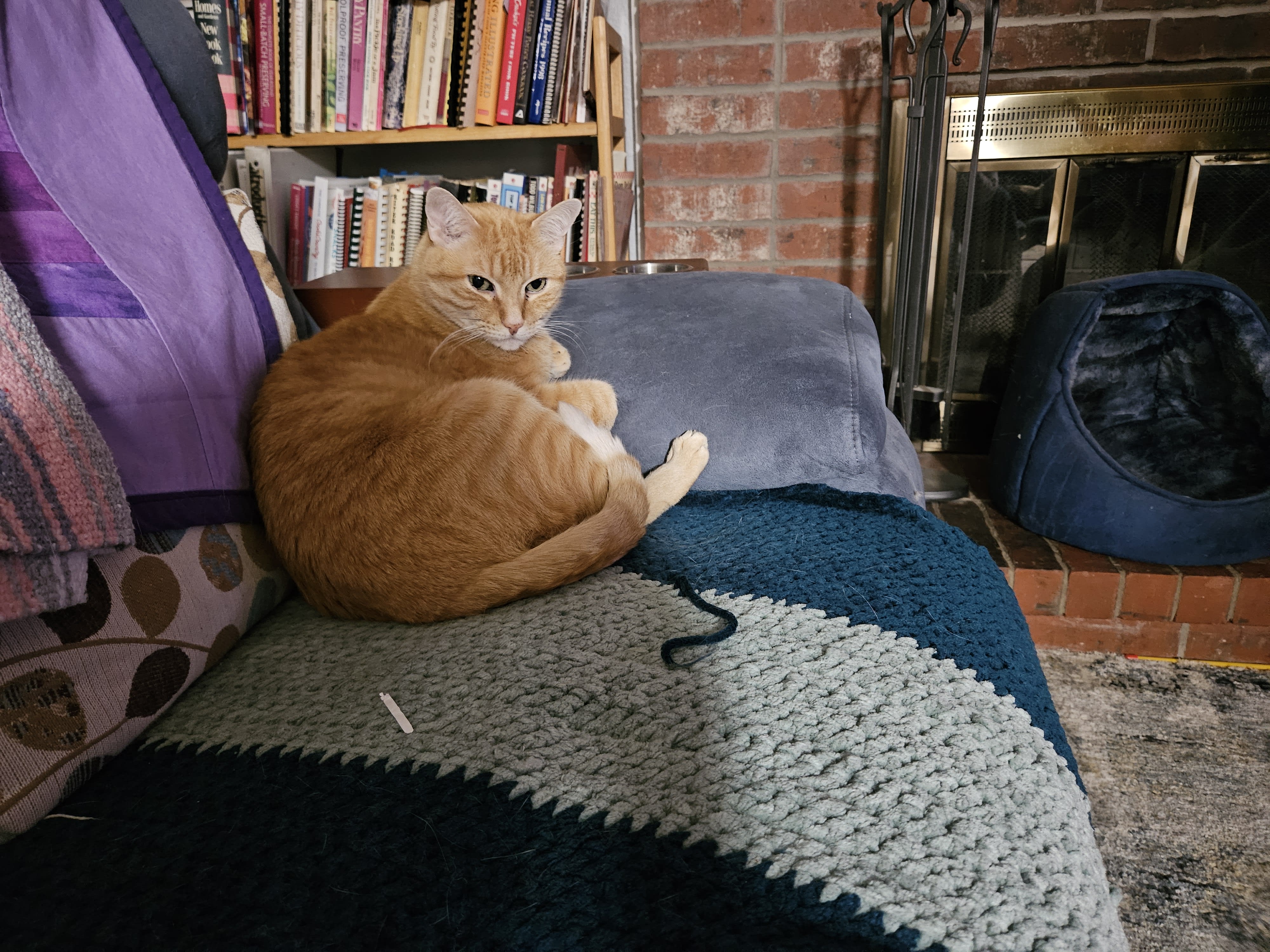 squeaker