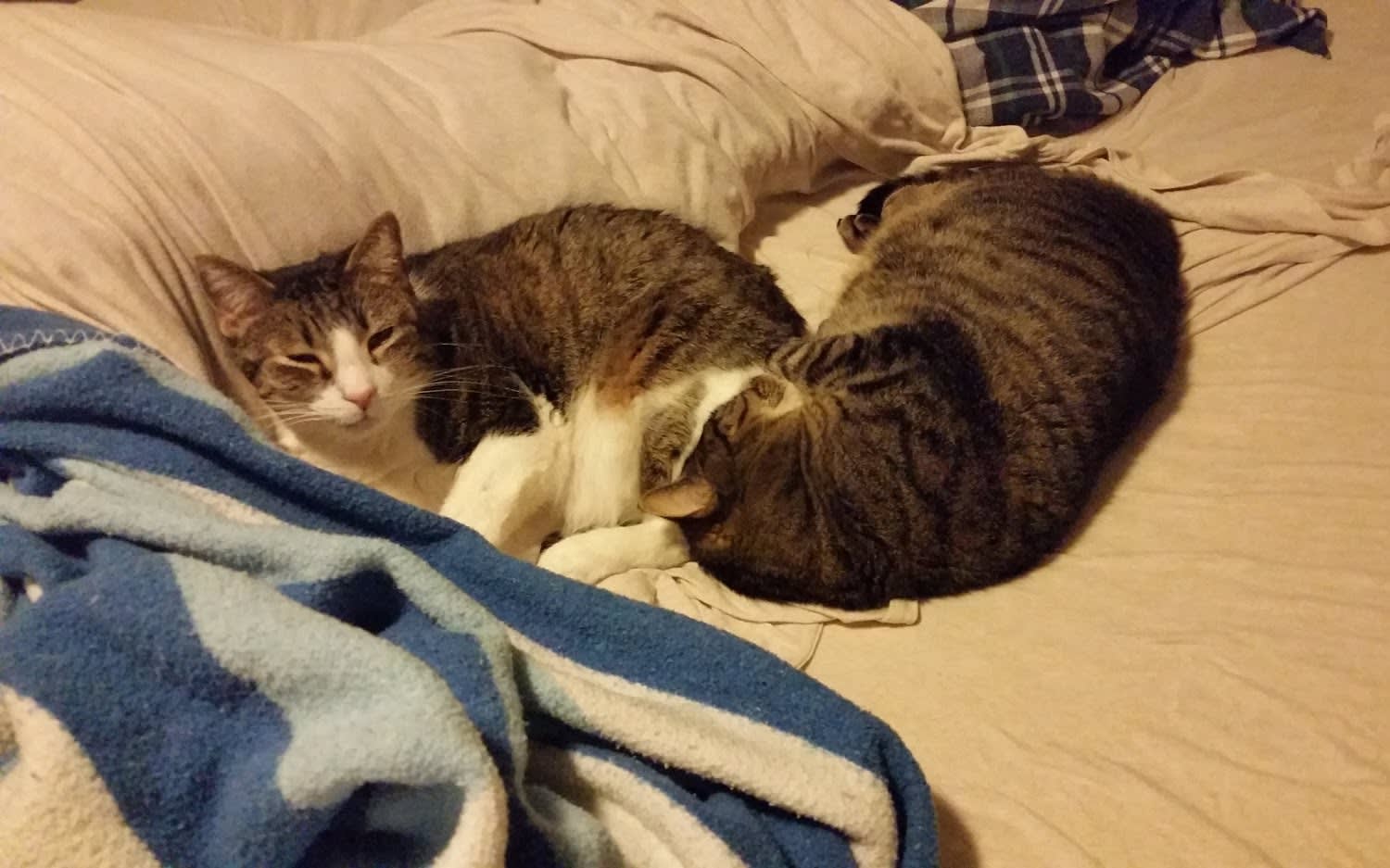 Rocky n Hattie
