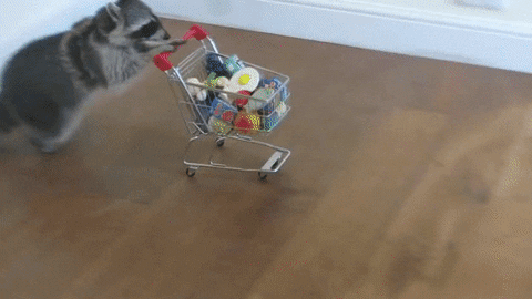 cart thief