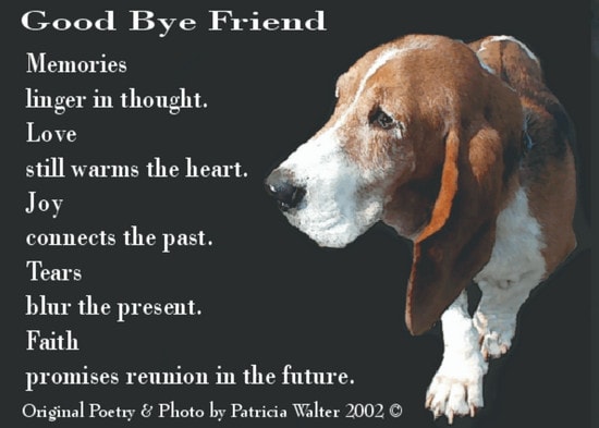 Farewell