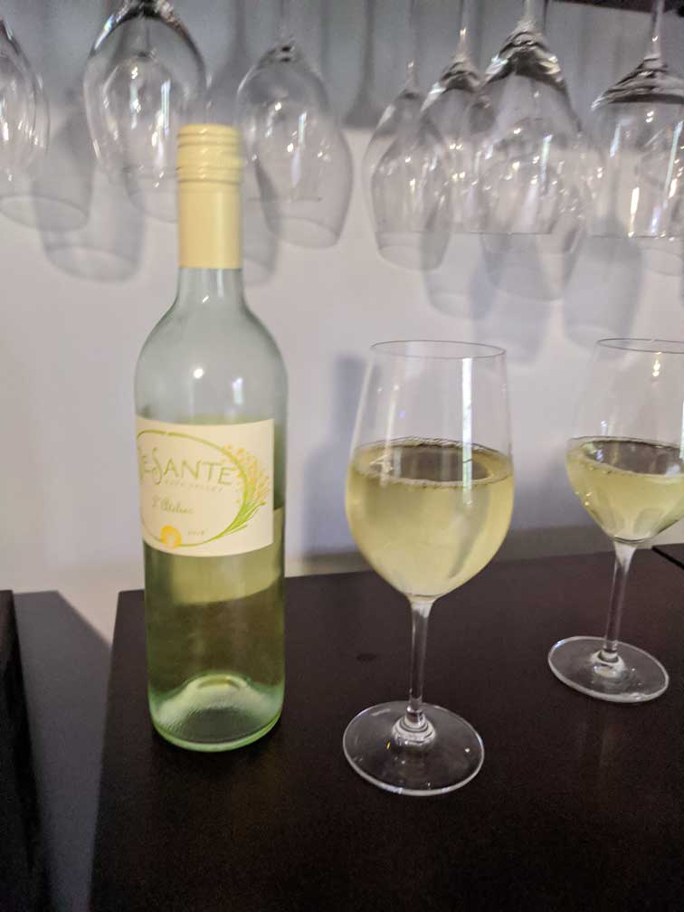 wine poured