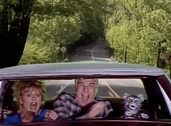 cat drive