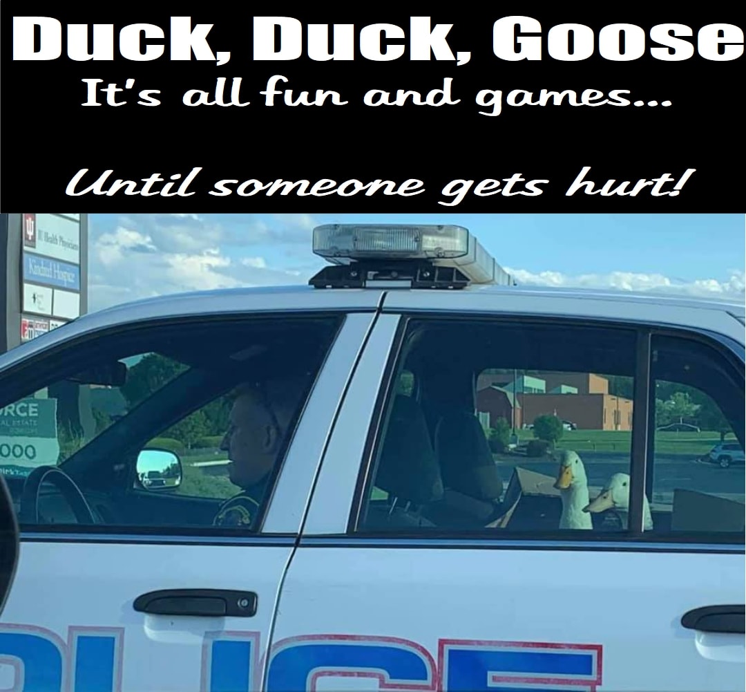 DuckDuckGoose