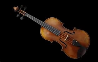 Viola