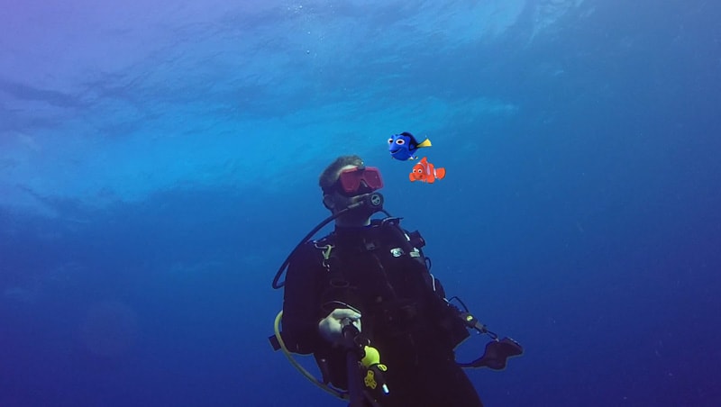 diver