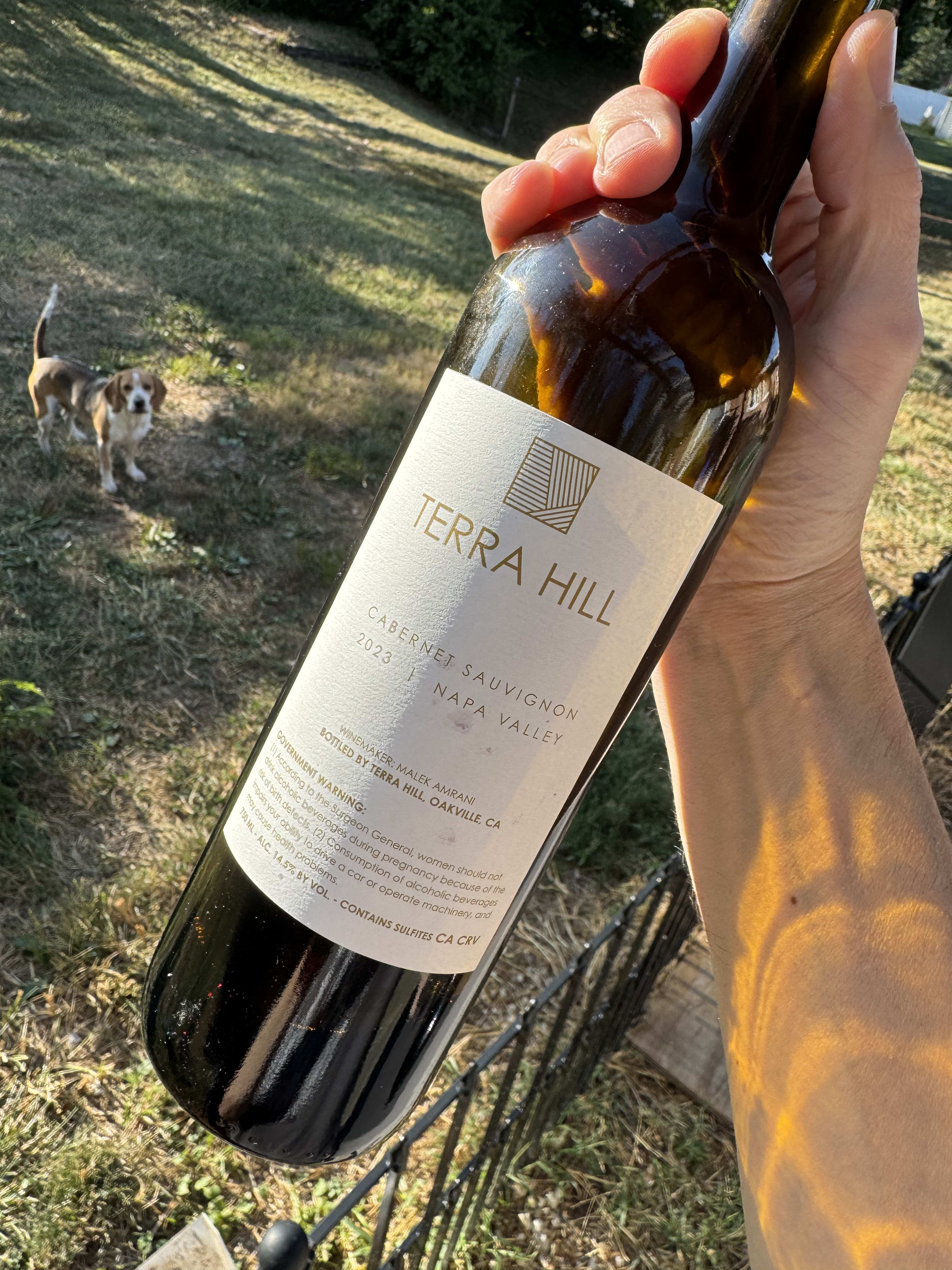 Back label of the Terra Hill Cabernet sauvignon bottle