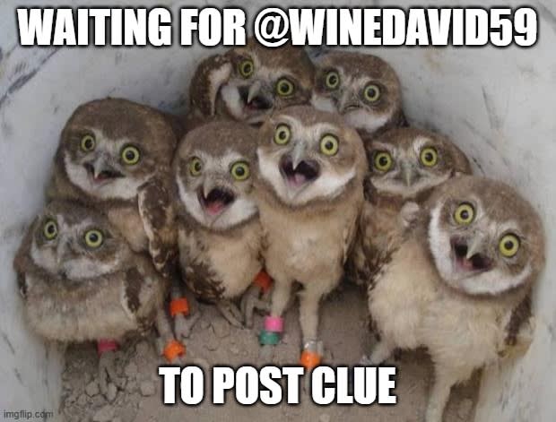 clue 04212026