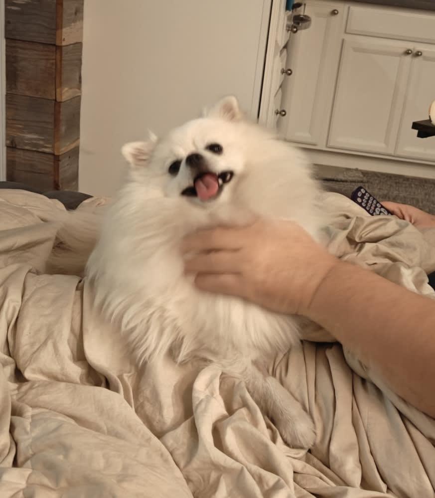 Always smiling