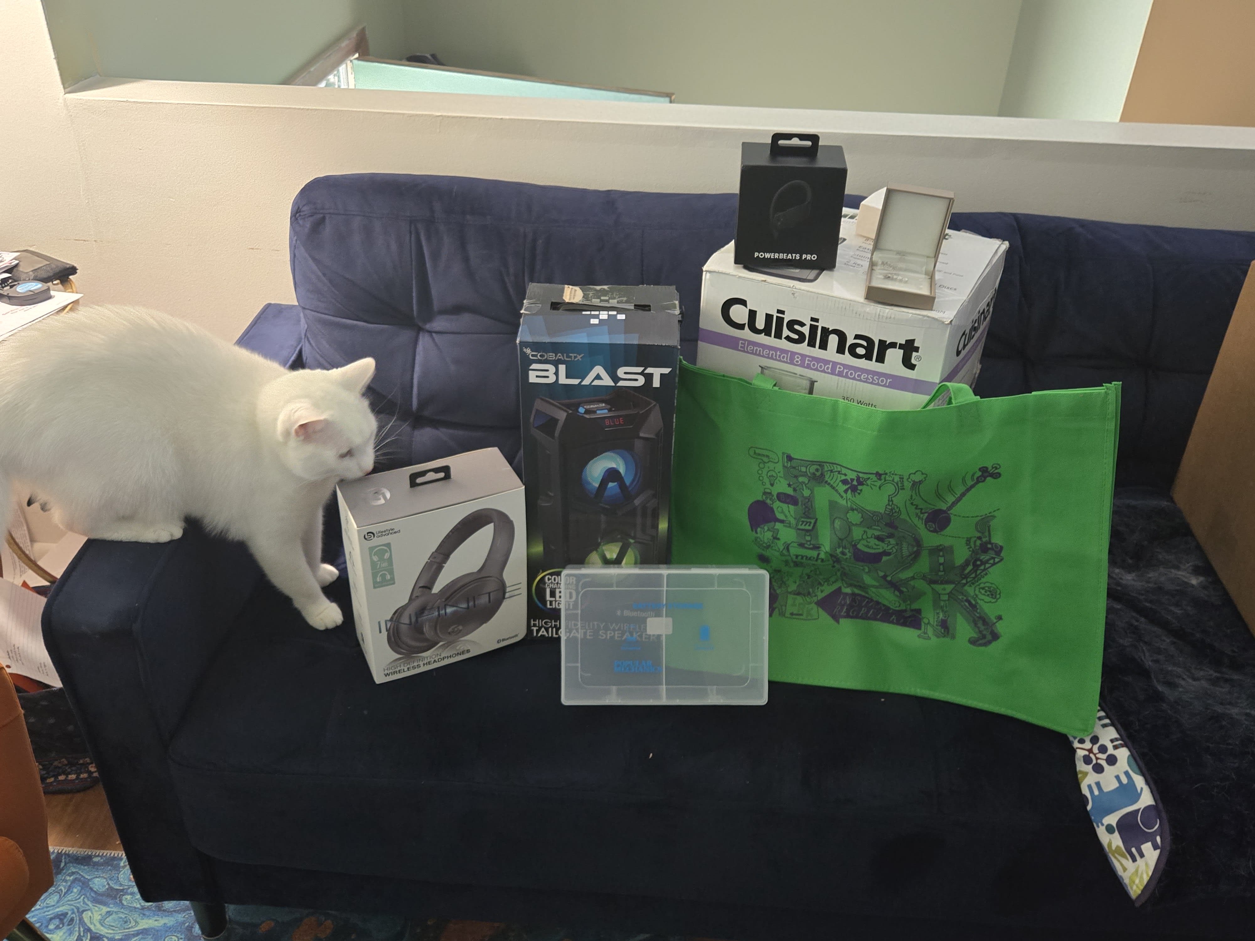 Cat not included