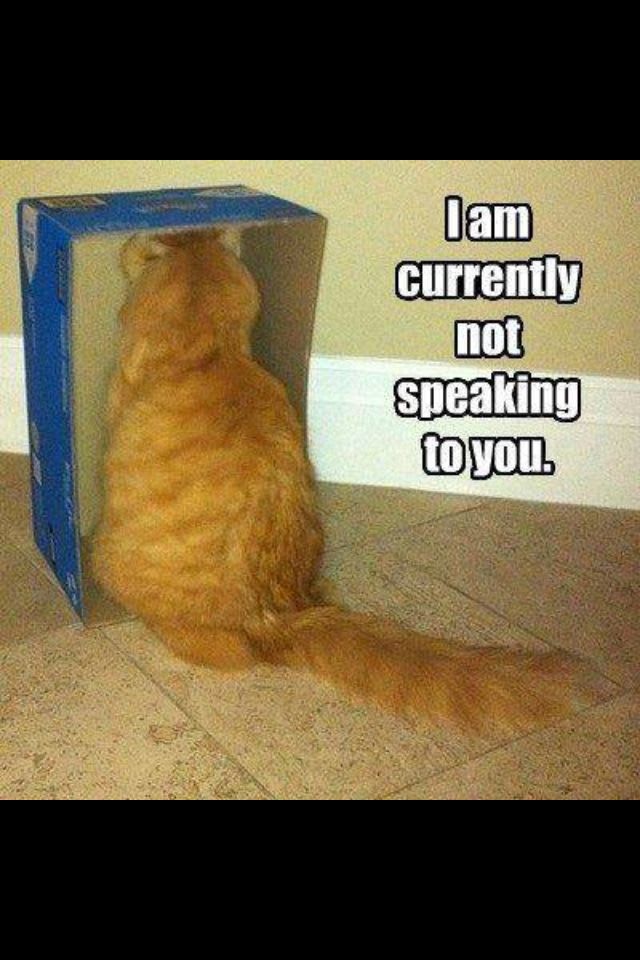 not speaking