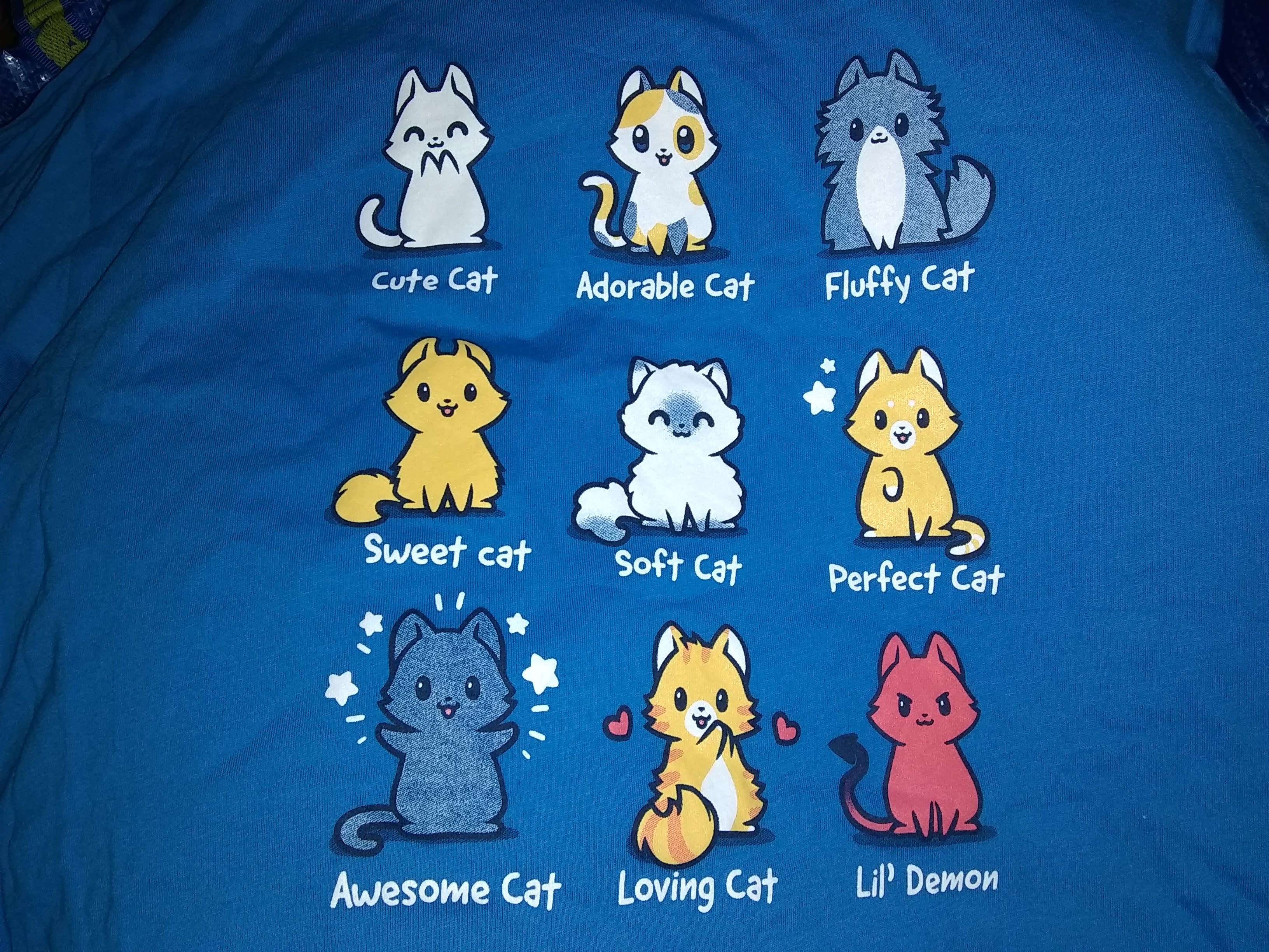 catshirtsteeturtle