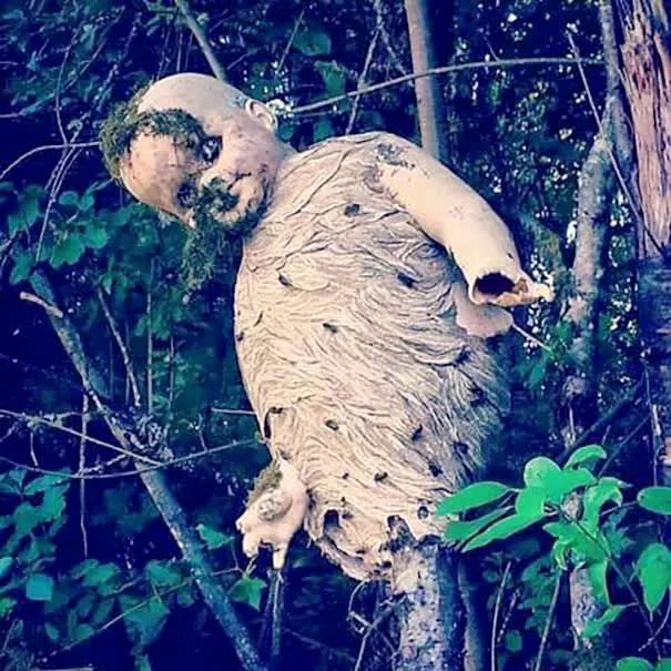 wasp doll