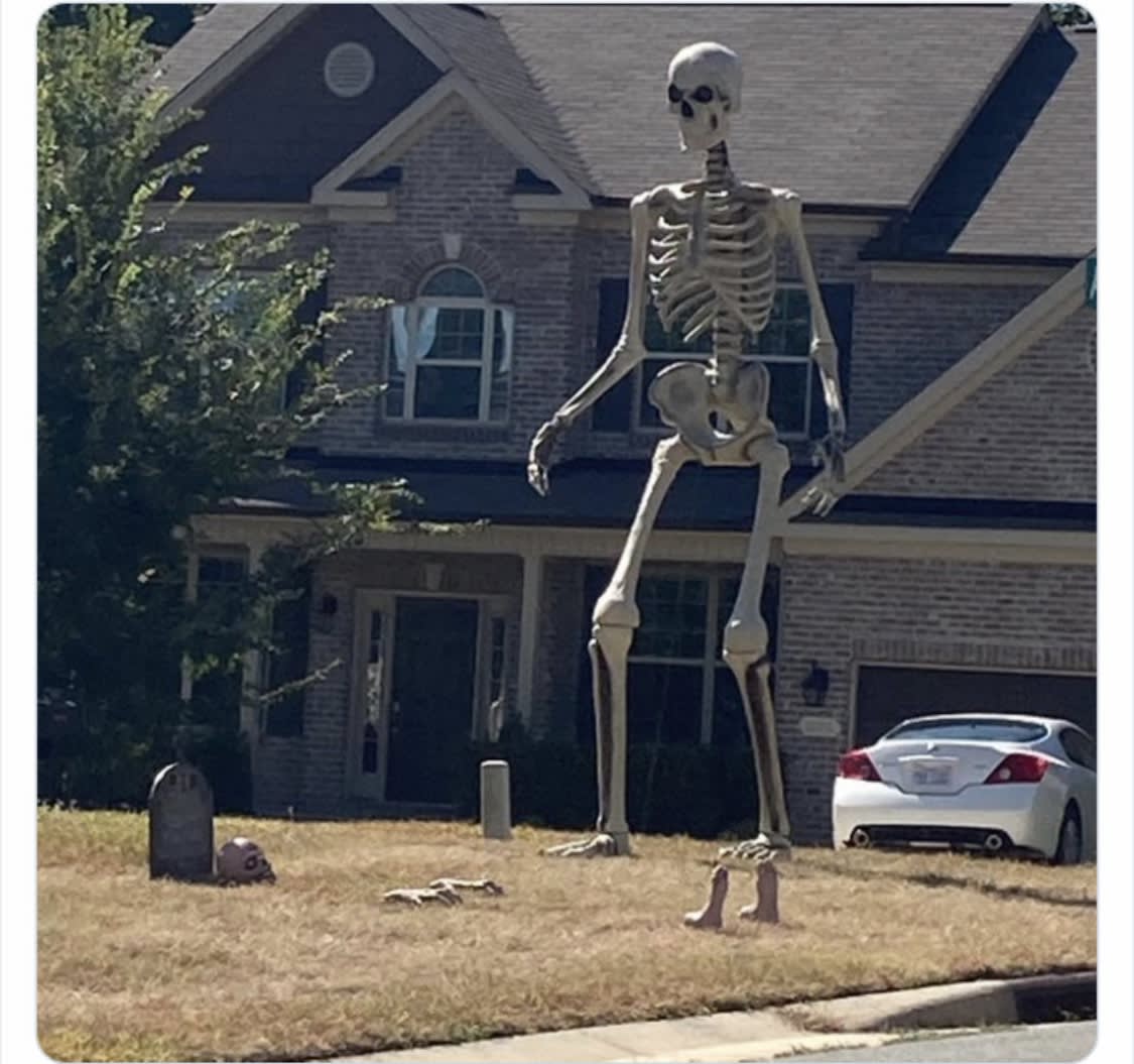 skeleton