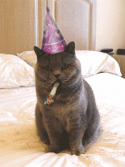celebrate