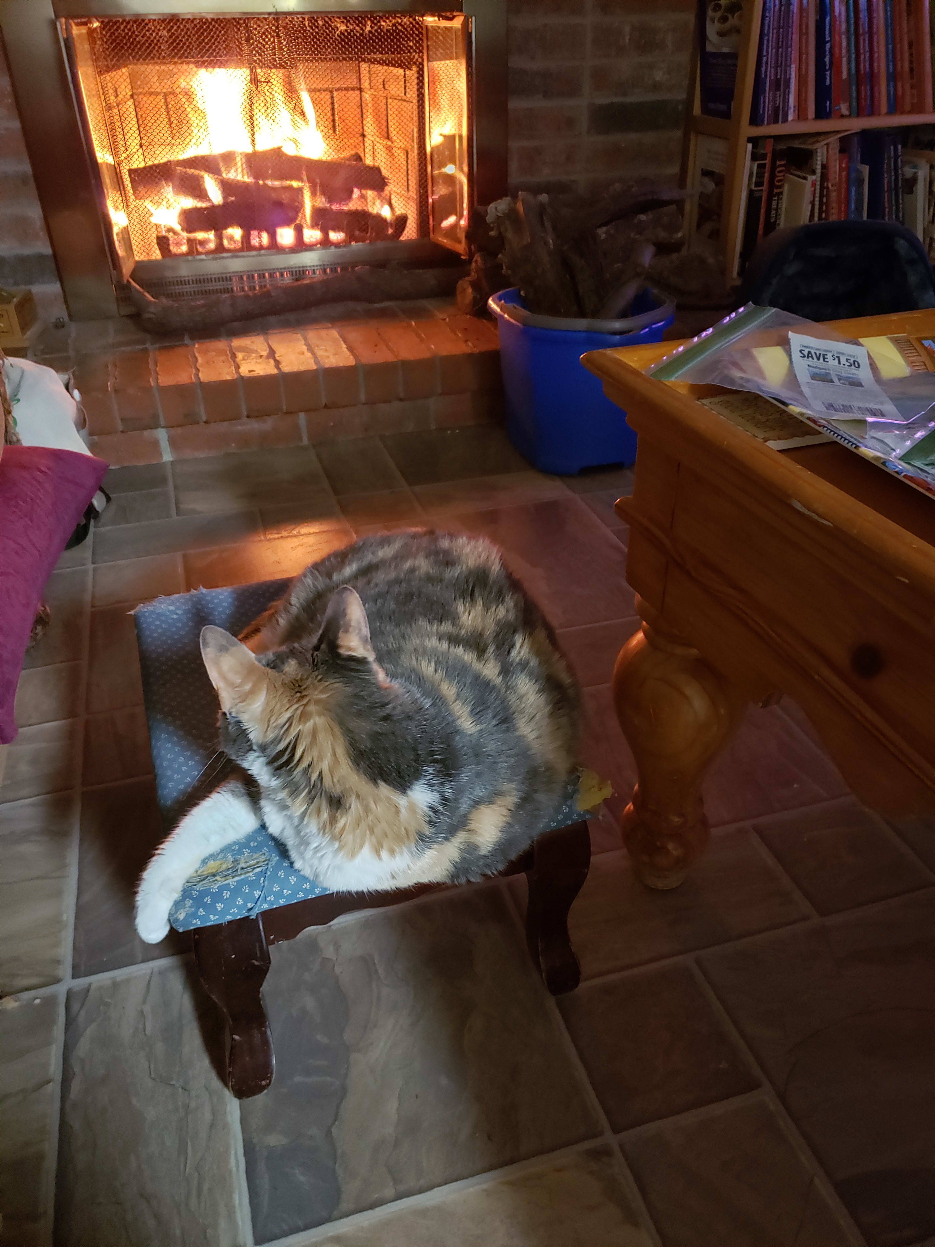 Missy and the fire