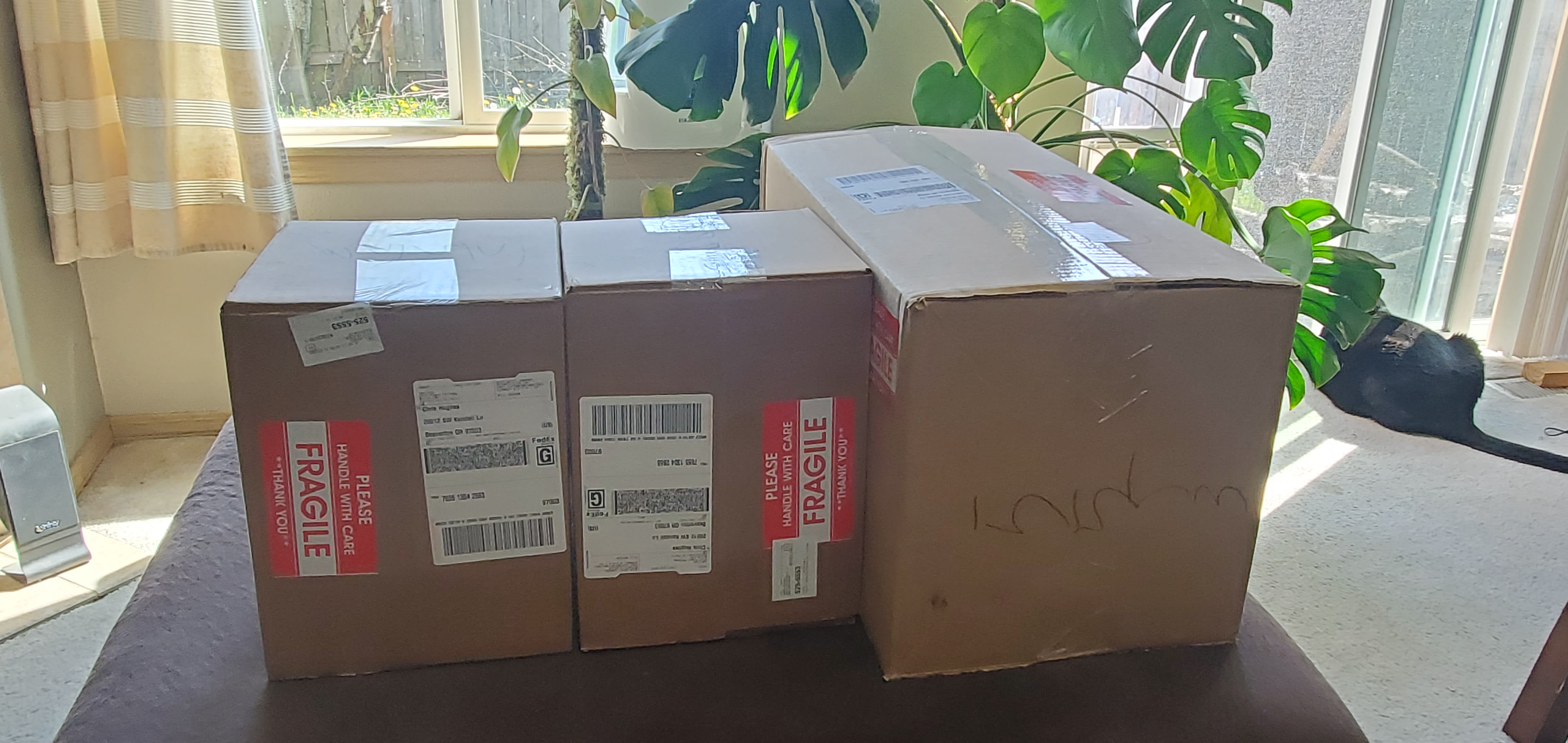 Scary Doll Packages