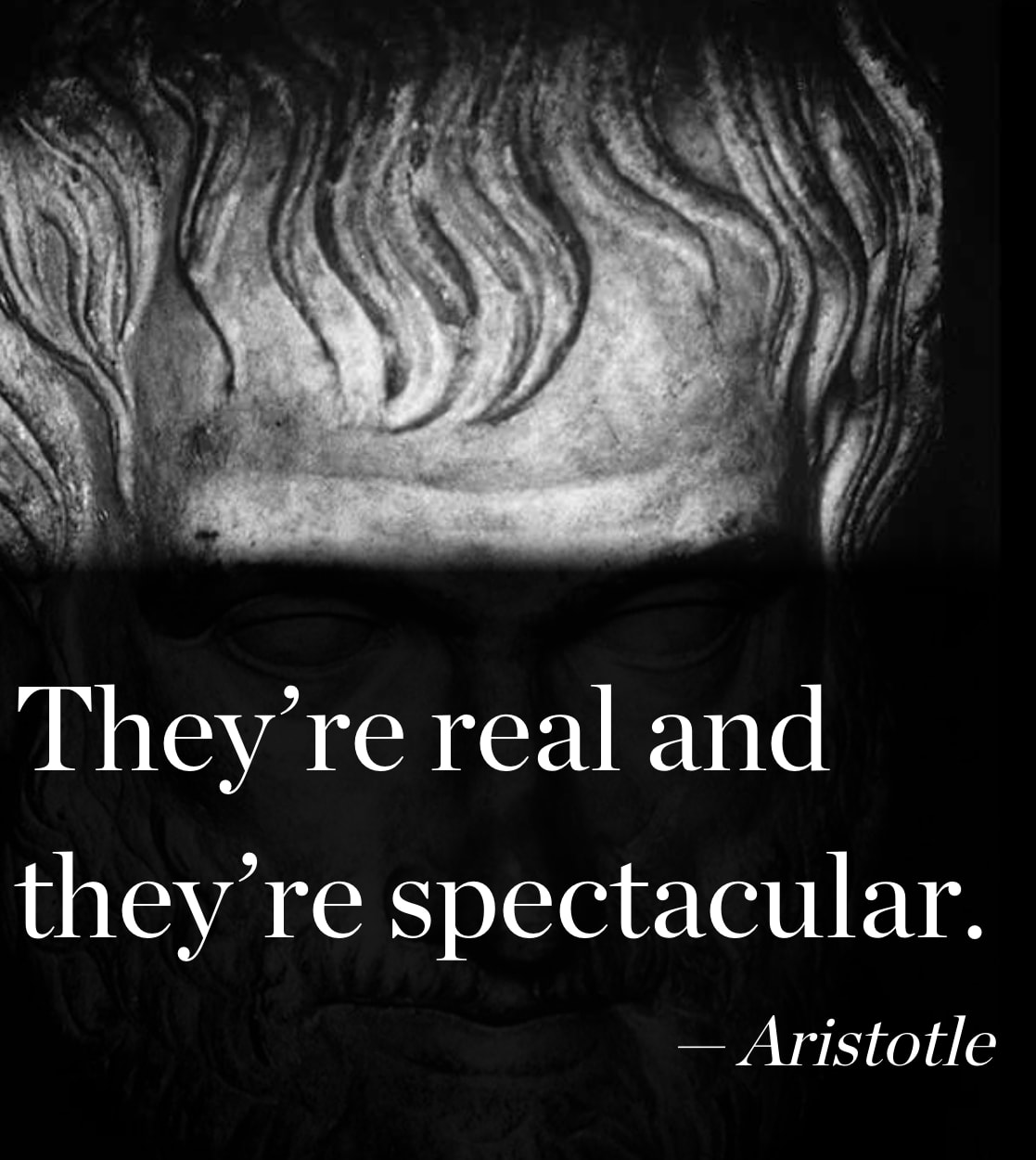 Aristotle quote