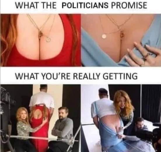poli-ticks