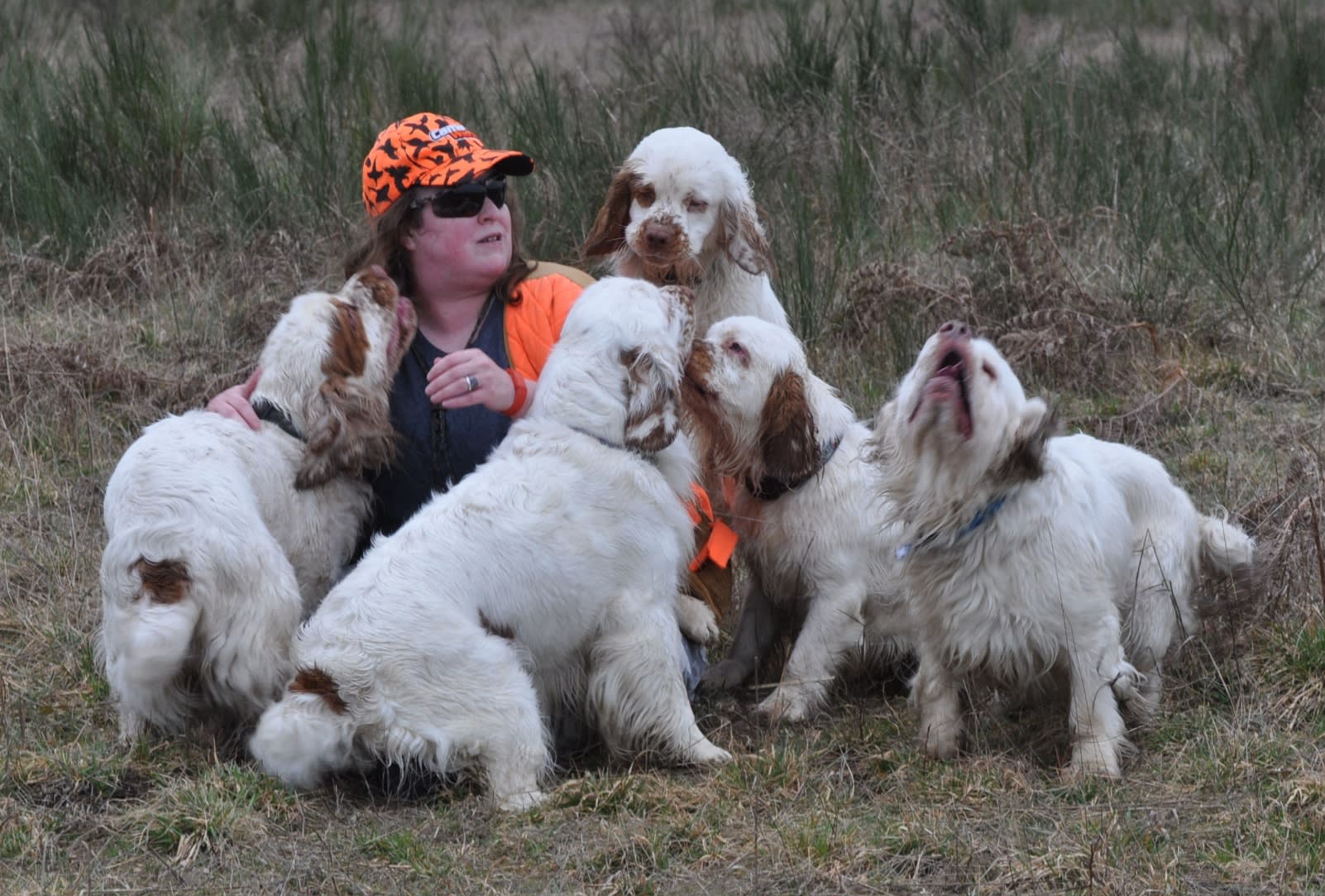 Representation of our dogs, older photo and only one still with us, turning 13 in a couple months.