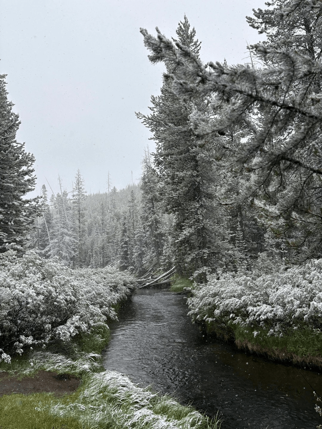 Snow