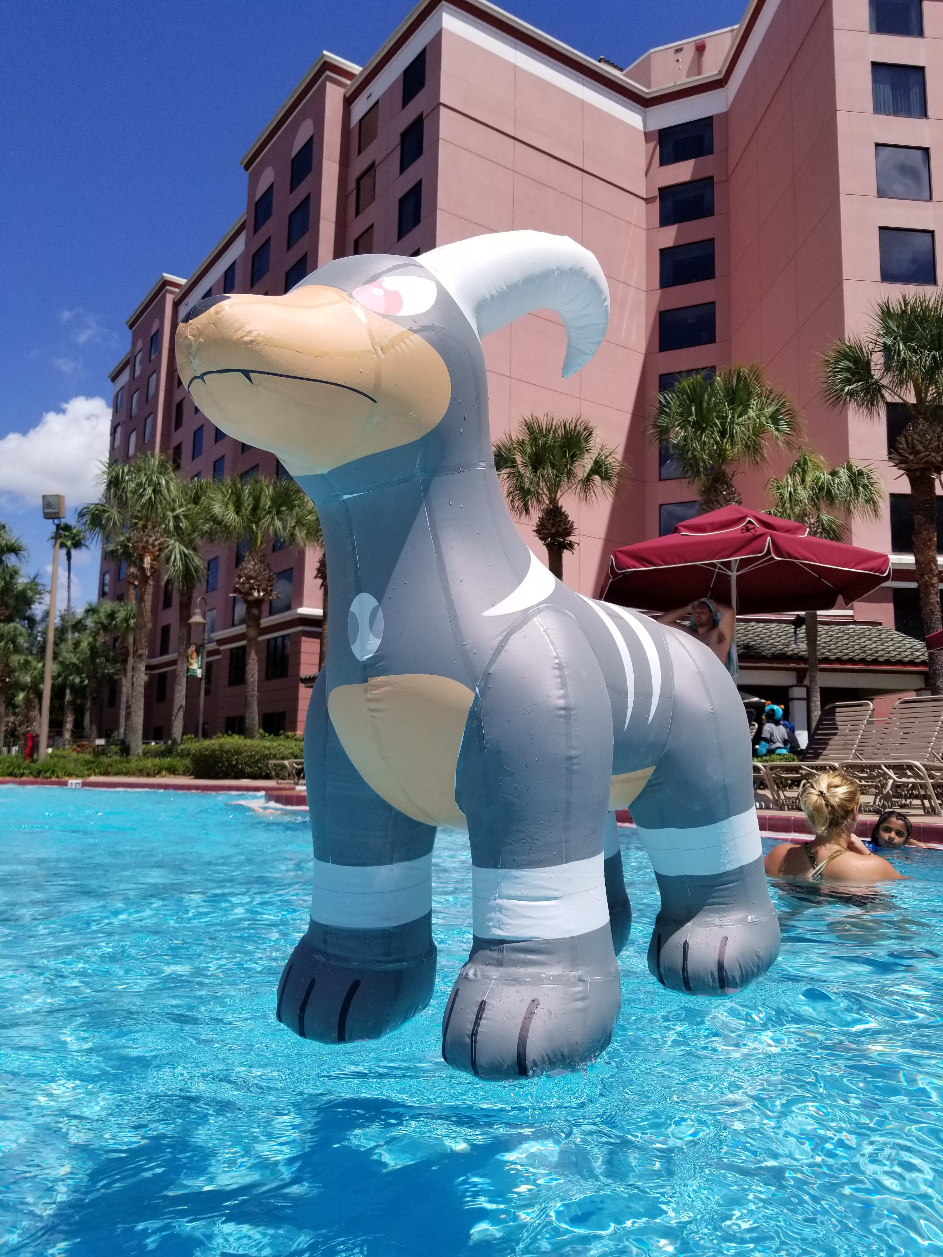 Chilling in the pool