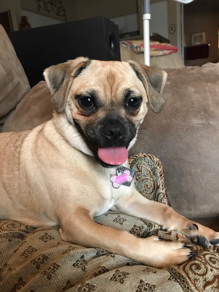 Sophie