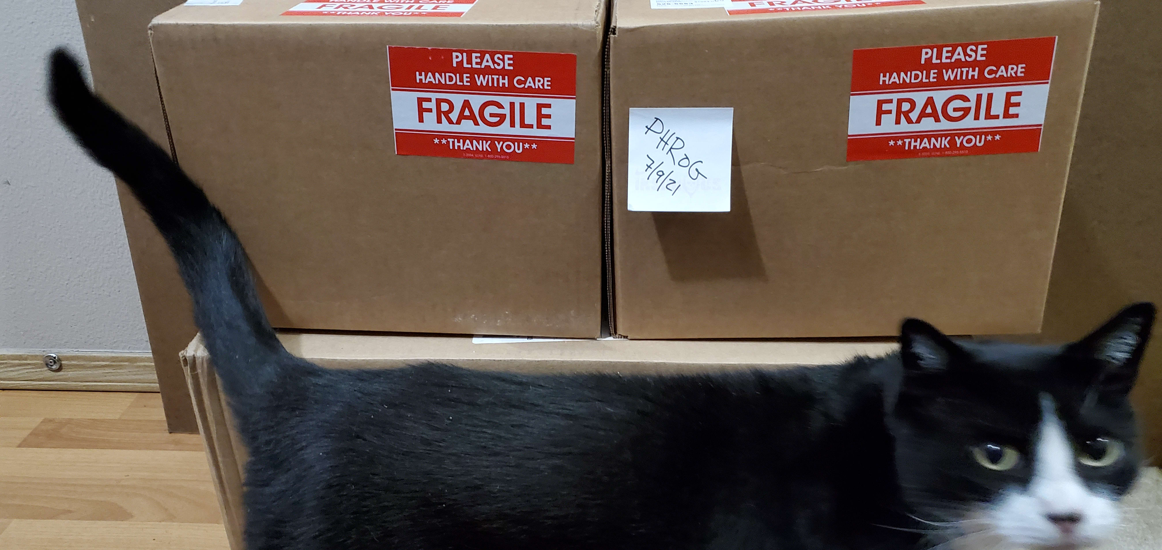 Cat Tax