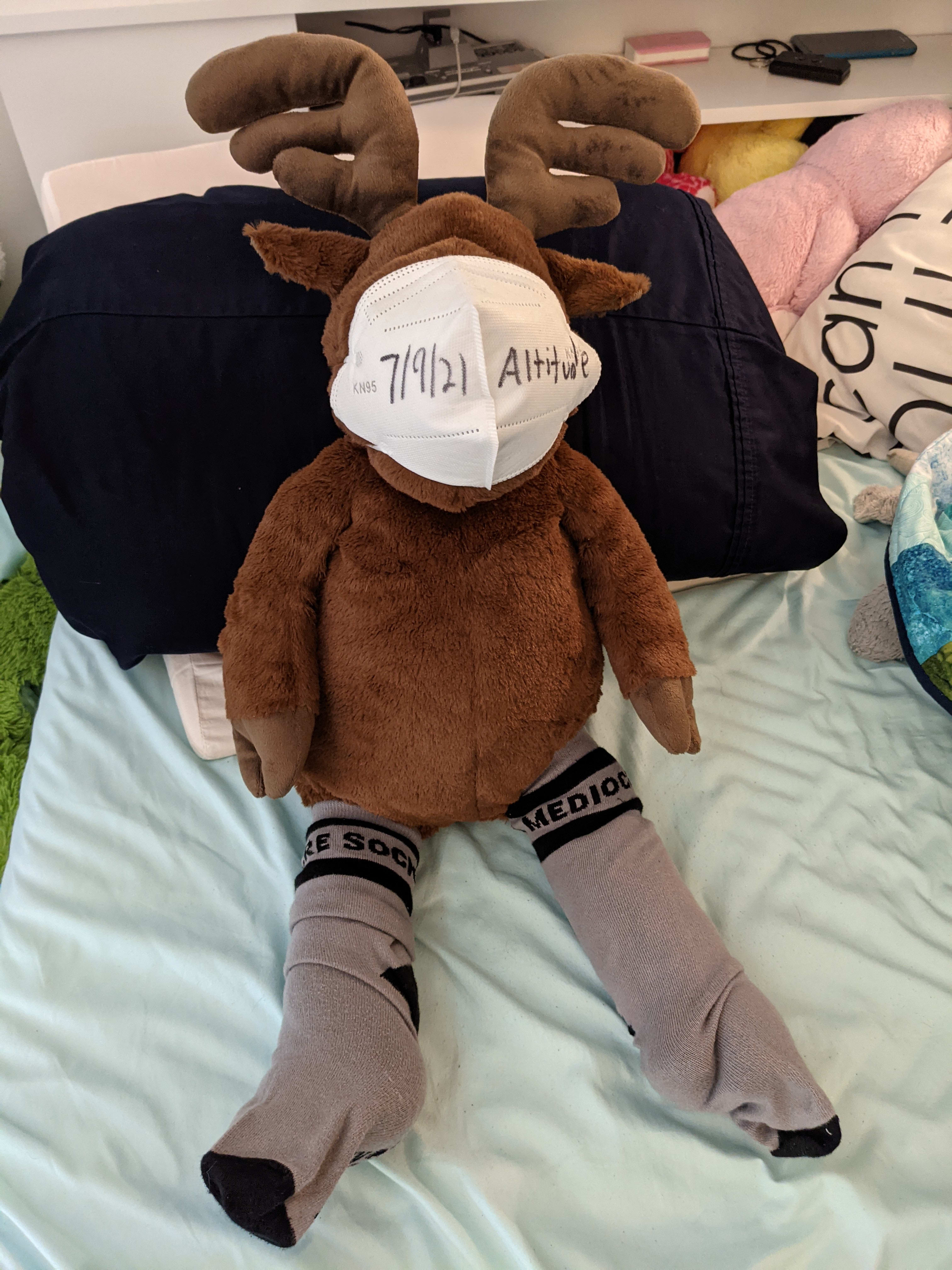 Socks