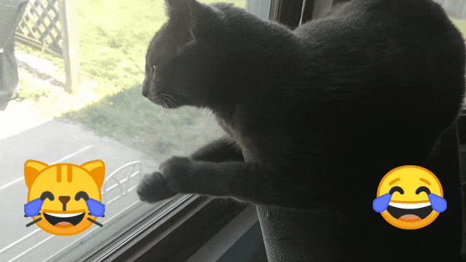 kitteh