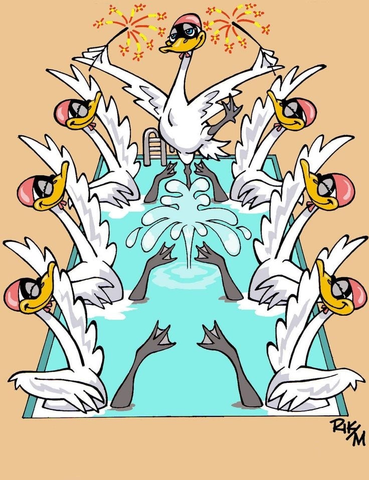 7 Swans