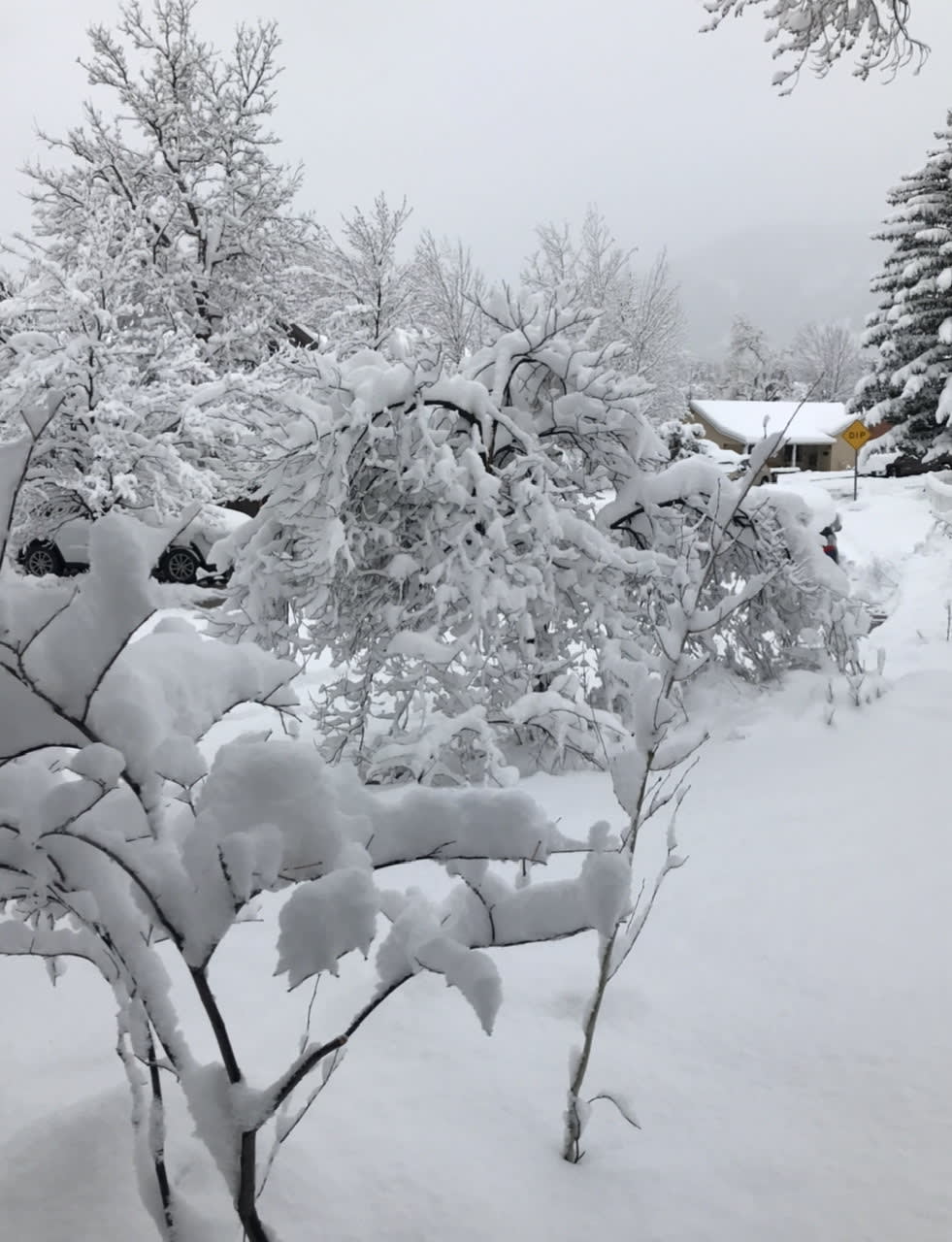 snow
