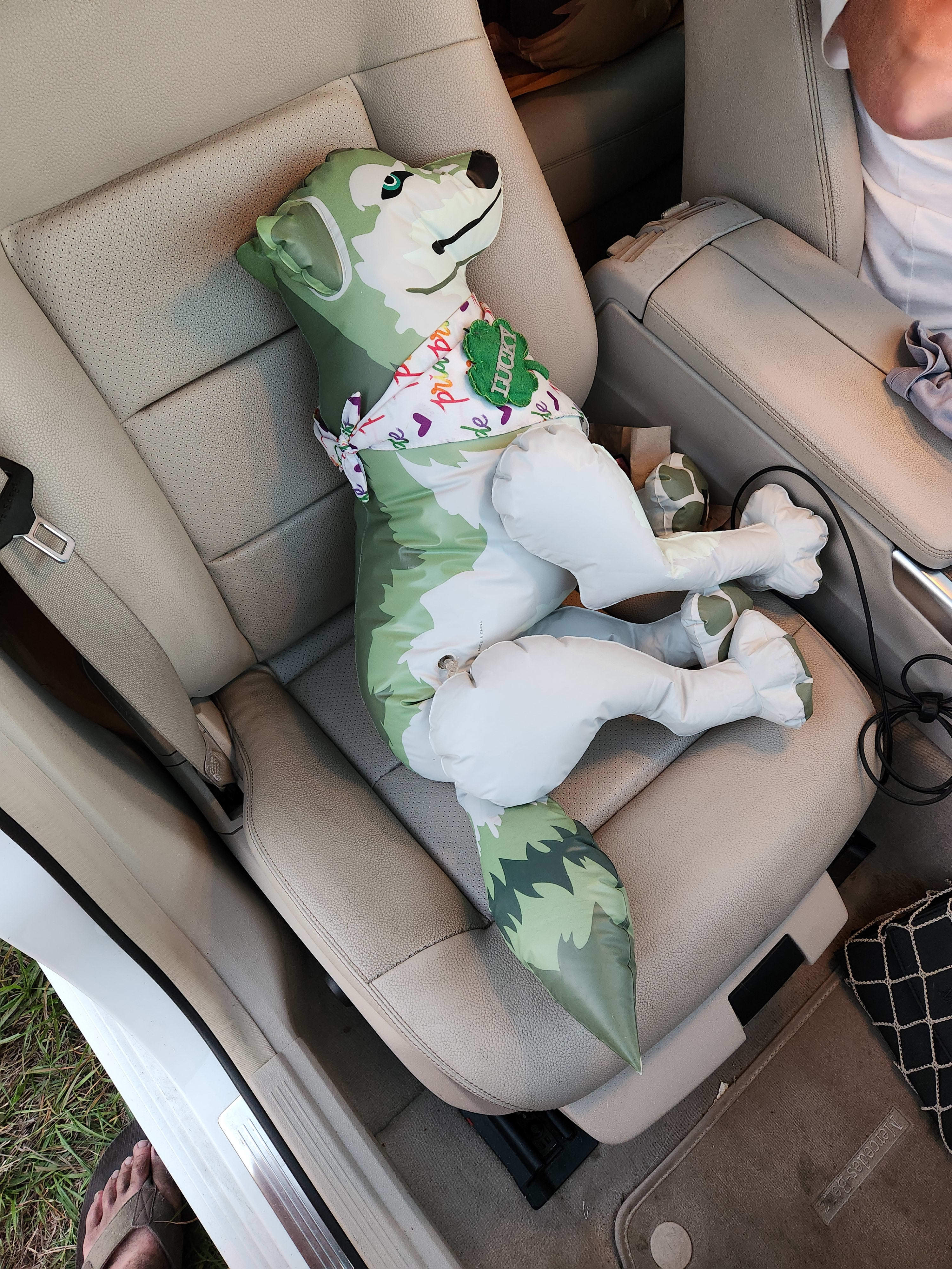 Lucky, ready to motor