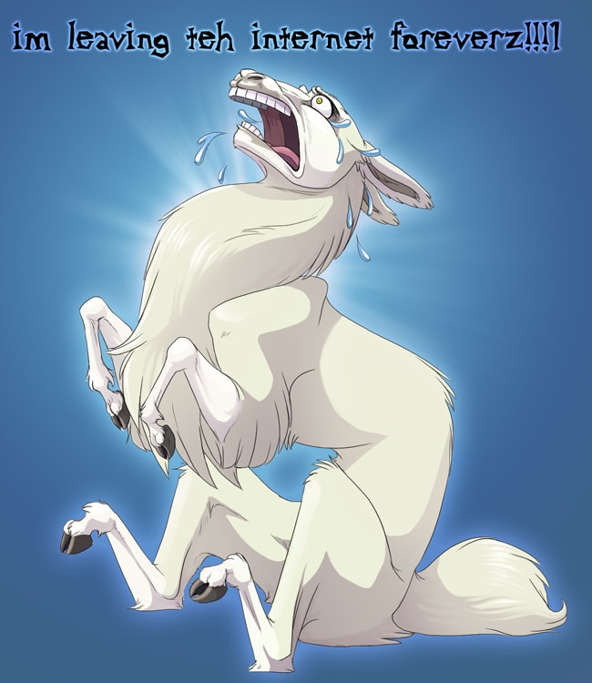 drama llama