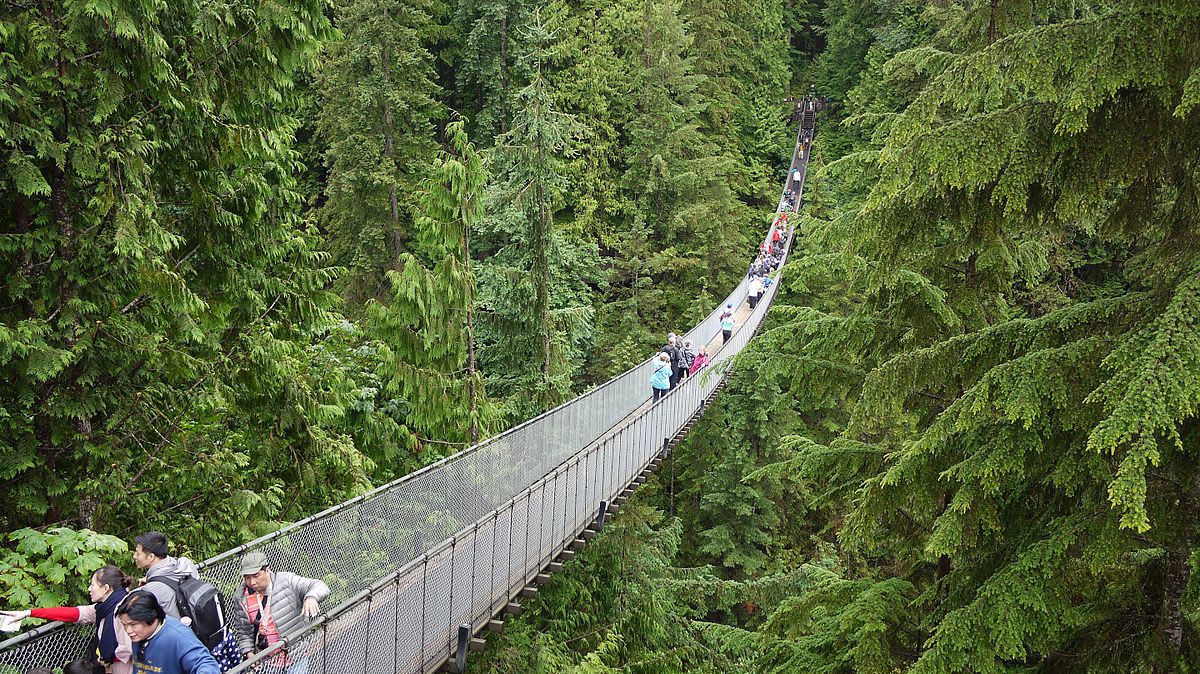 ambitious-forgetful-bridge