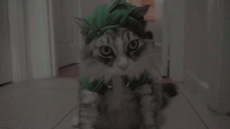 The dinosaur