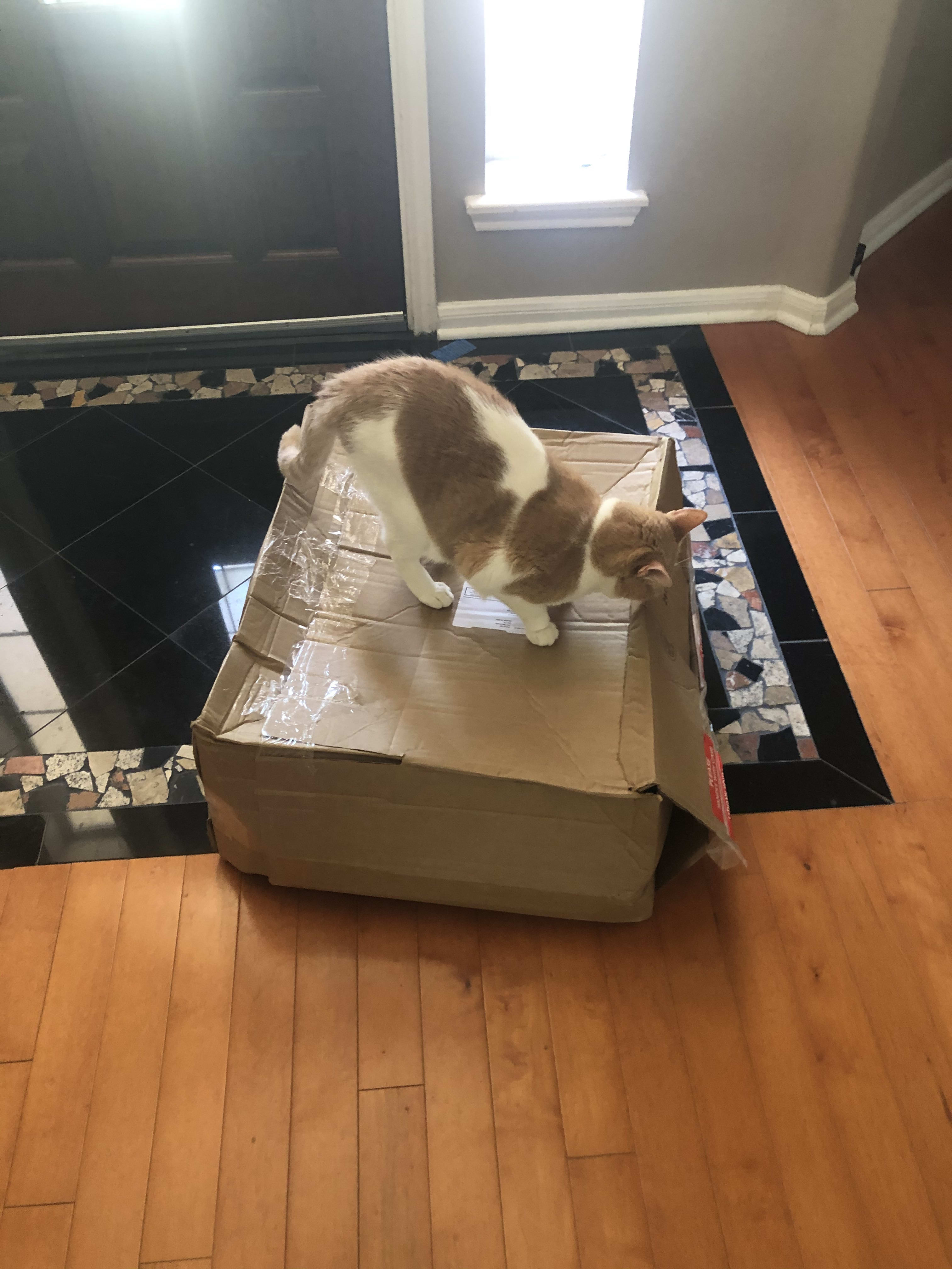 box
