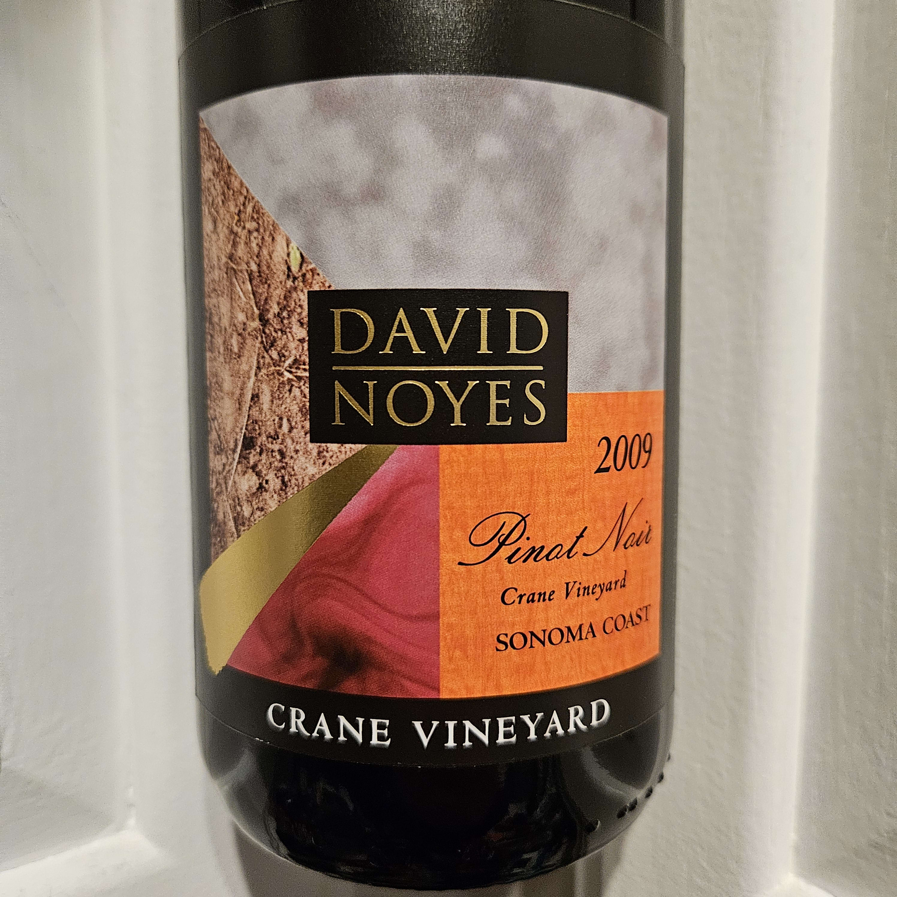 david noyes