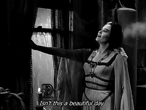 Beautiful Day
