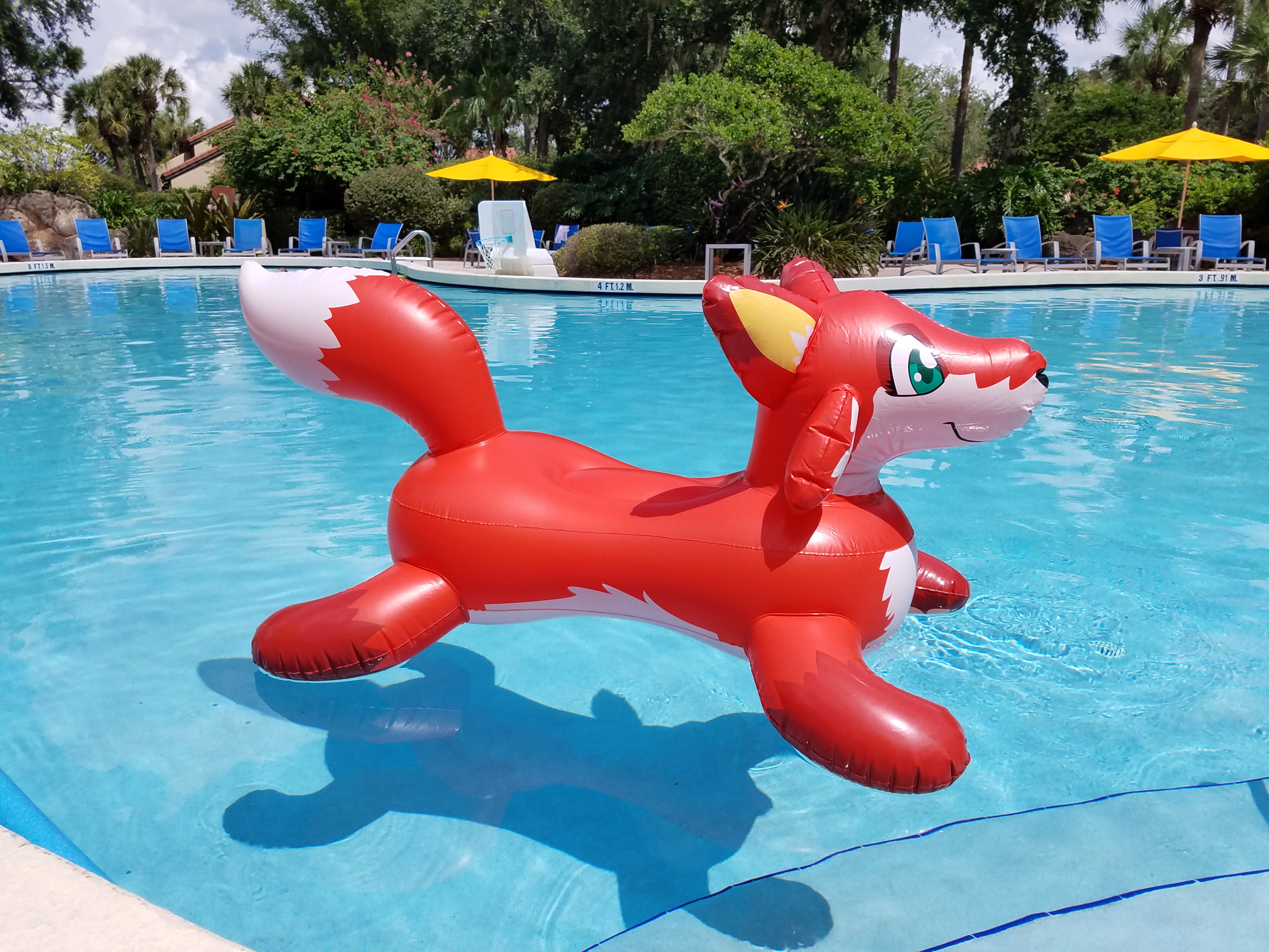 Looking great in the country club pool!