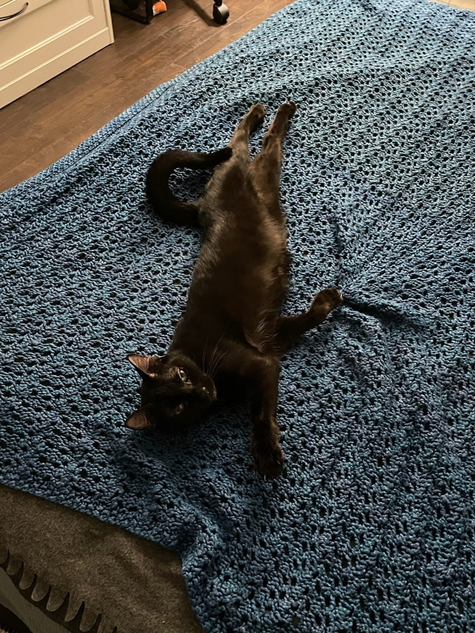 Nina