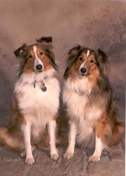 Lexi and Cody